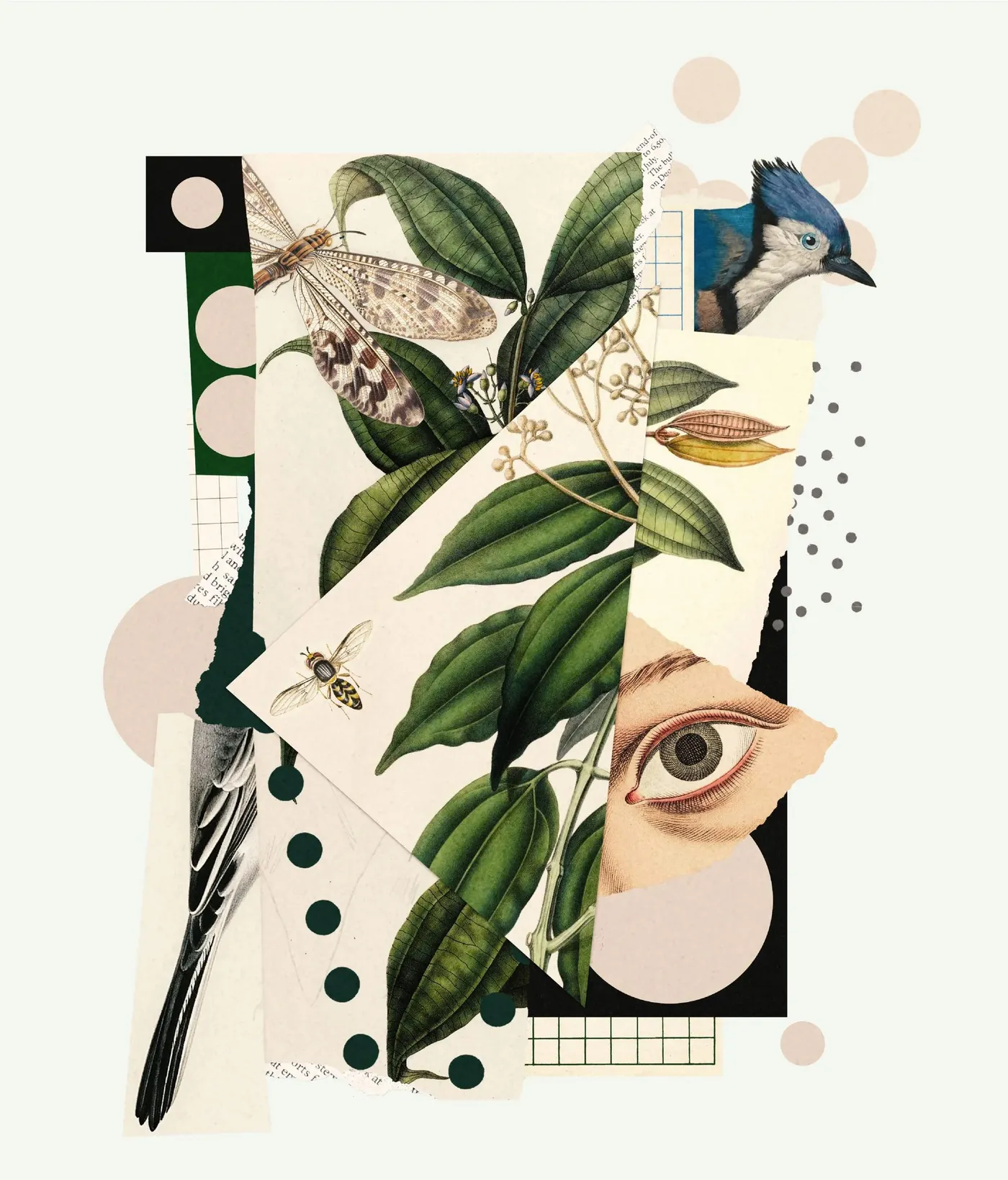 Beppe Conti — 8