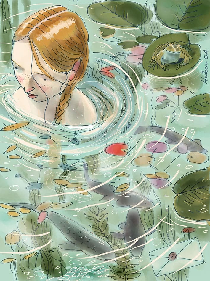 Roby il Pettirosso — 1