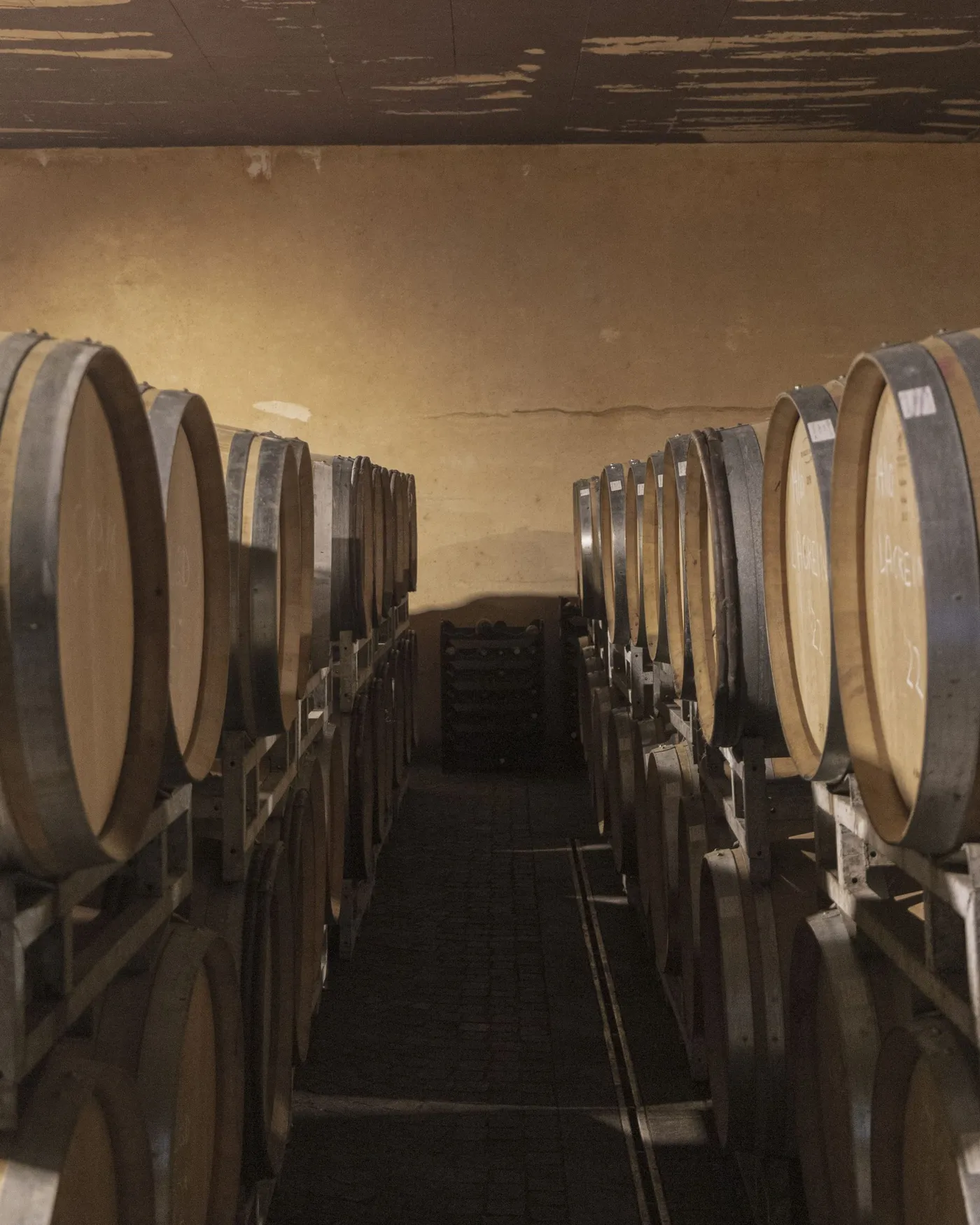 Artisti tra i vigneti: la residency dei Vignaioli del Trentino — 9