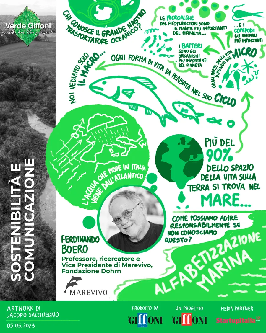 Jacopo Sacquegno — 1