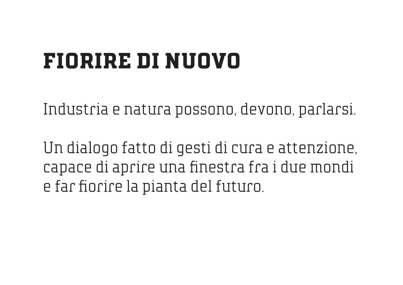 SAEF racconta per immagini l'arte di abitare la sostenibilità — 15