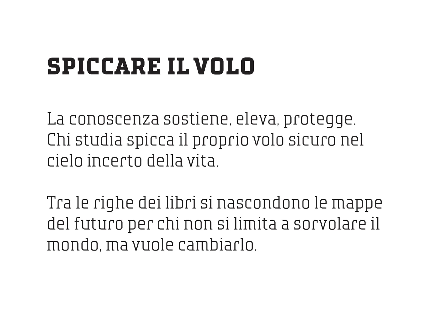 SAEF racconta per immagini l'arte di abitare la sostenibilità — 19