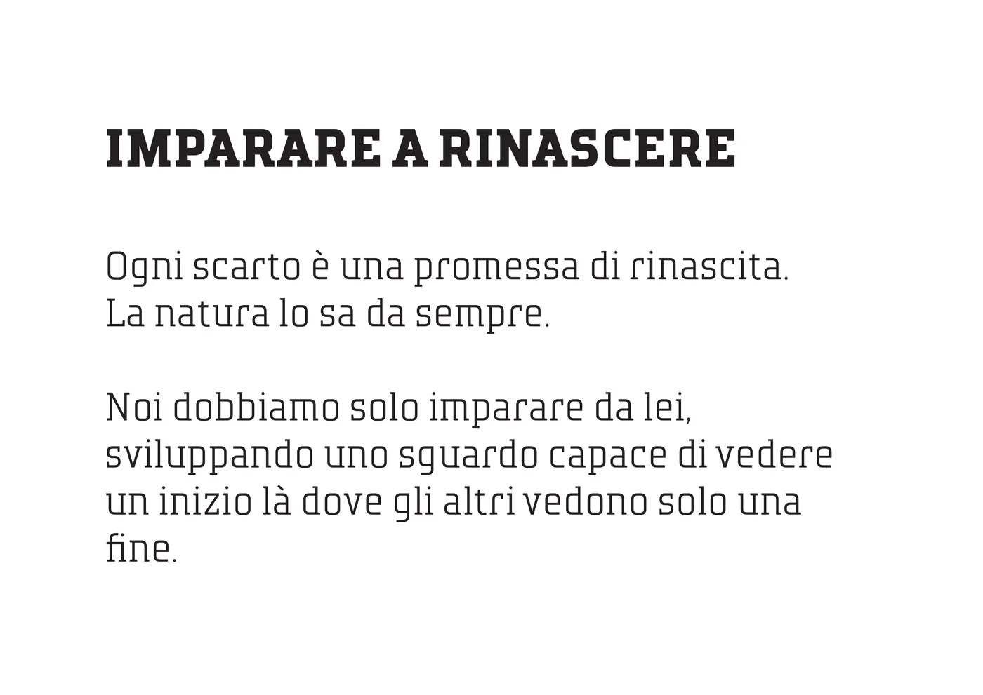 SAEF racconta per immagini l'arte di abitare la sostenibilità — 29